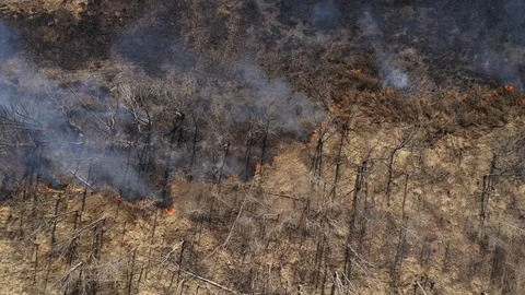 Wild Forest Fire From Drone Australia Stock Footage 127425036
