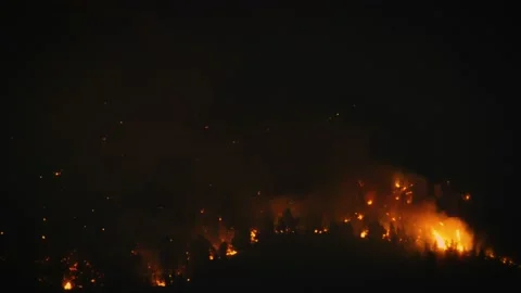 Wild Forest Fire Stock Footage 138965140