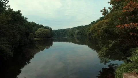 Wild forest Stock Footage 77744042