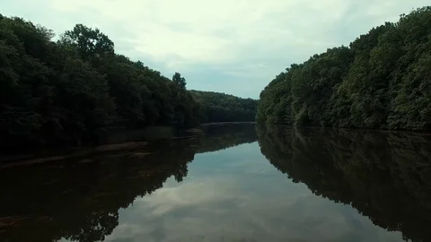 Wild forest Stock Footage 77744187