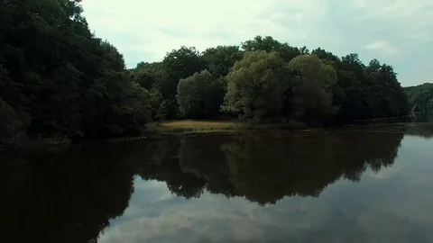 Wild forest Stock Footage