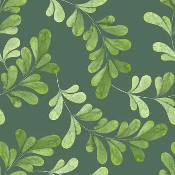 Wild forest grasses. Bright spring greenery. Branches with green leaves. Illustrazione stock