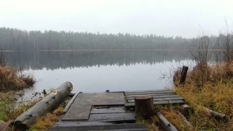 Wild forest lake.  Stock Footage 238775416