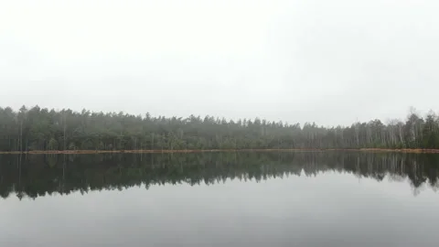 Wild forest lake.  Stock Footage 238775537