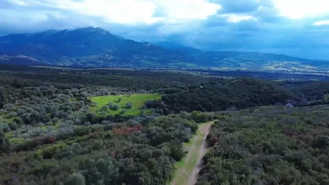 Wild Forest Path with Clouds, Mountain, and Lush Landscape Stock Footage 303564644