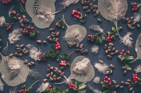 Wild forest pattern. Dry leaves, lingonberry berries, pine nuts, quail feathe Stock Photos