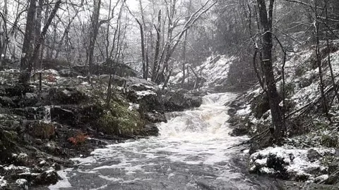 Wild forest river during snowfall in winter. Hoegne in Ardennes, Belgium Stock Footage 152091010