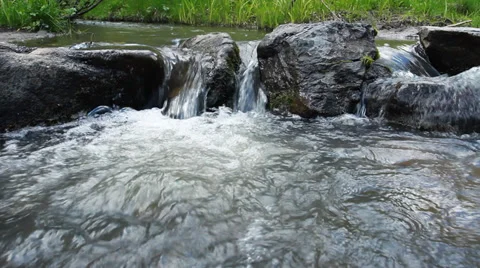 Wild Forest River Video stock 39466425