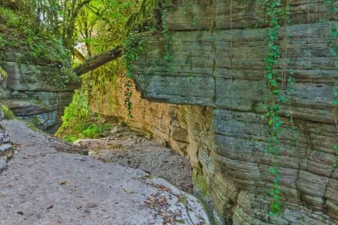 Wild forest rocks Stock Photos