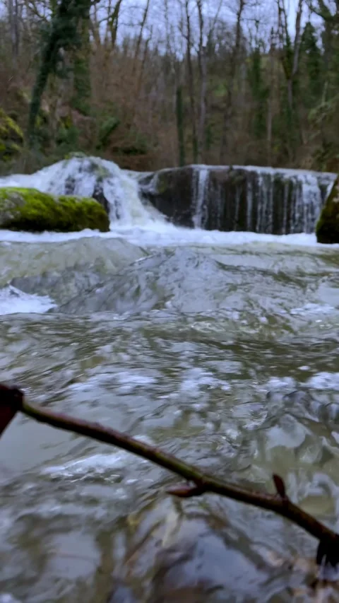 Wild Forest Stream Flowing Through Mossy Rocks in Late Autumn Stock Footage 329251208