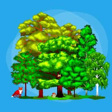 Wild forest trees, plants and animals.Pine Tree with branch  leafs in the  .. Stock Illustration