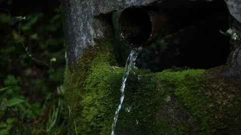 Wild forest water spring Stock Footage 161840610