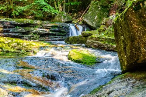 Wild Forest Waterfall Stock Photos