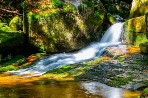 Wild Forest Waterfall Stock Photos