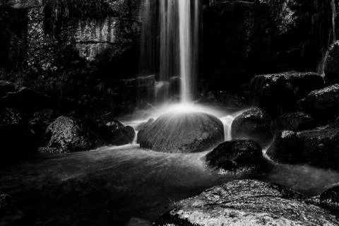 Wild Forest Waterfall Stock Photos