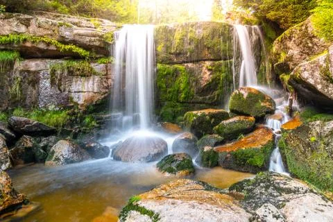 Wild Forest Waterfall 스톡 사진