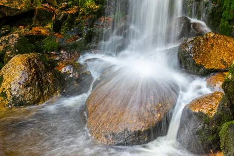 Wild Forest Waterfall Stock Photos