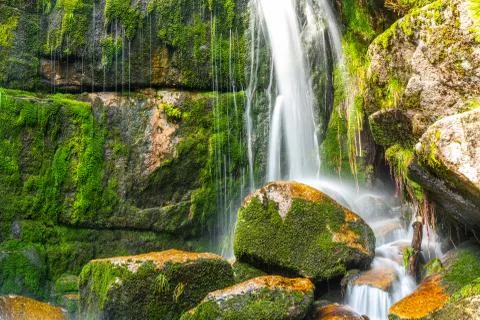Wild Forest Waterfall Stock Photos