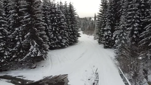 Wild Forest Winter With River And Wood Bridge 스톡 동영상 167744046