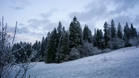 Wild forest in winter, timelapse zoom in Stock Footage 86060824