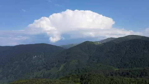 Wild Forests and Cloudy Blue Skies Stock Footage 330545494