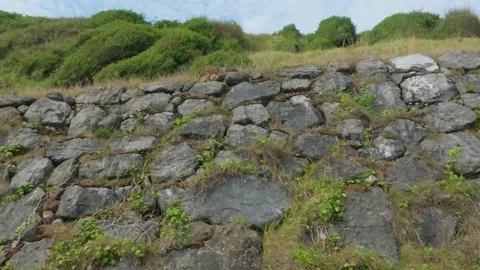 Wild Fox Walking Across Rocky Hillside In Nature Stock Footage 340155947