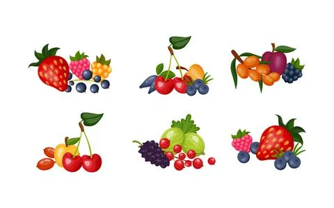 Wild fruit and berry composition. Fresh summer fruits, smoothie or jam with g Stock Illustration