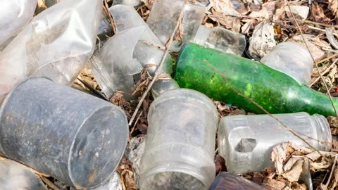 Wild garbage dump. residual glass, plastics in the forest Stock Footage 312155597