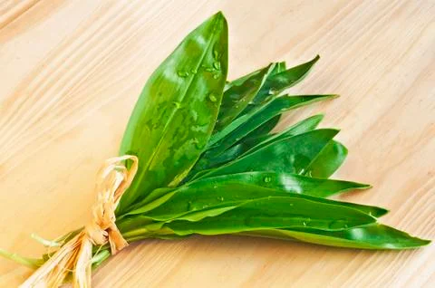 Wild garlic Stock Photos