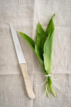 Wild garlic Stock Photos
