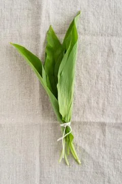 Wild garlic Stock Photos