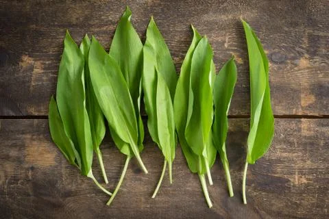 Wild garlic Stock Photos