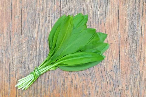 Wild garlic Stock Photos