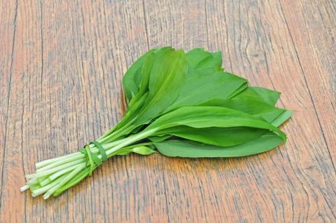 Wild garlic Stock Photos