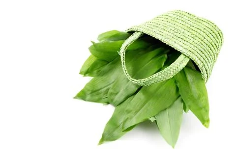 Wild garlic (ramson) in springtime. Stock Photos