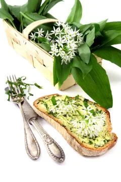Wild garlic (ramson) in springtime. Foto stock