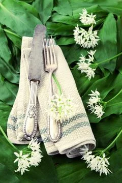 Wild garlic (ramson) in springtime. Foto stock