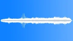 Wild Gaur SoundsSound Effect