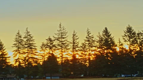 Wild geese flying on sunset Vidéo 90343924