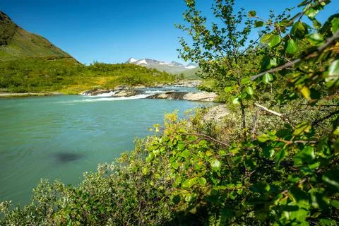 Wild glacial river flows through remote, green Arctic landscape on a sunny day Stock Photos