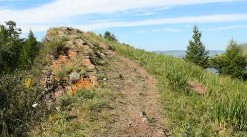 Wild Grass 9 Video stock 10606297