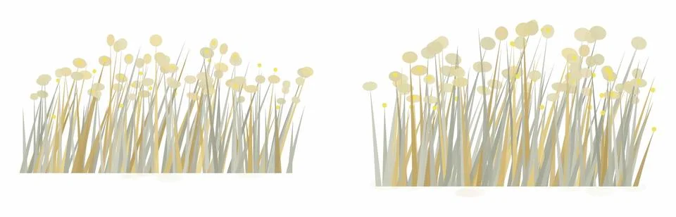 Wild grass and delicate meadow flowers illustration. Featuring tall green s.. Illustration
