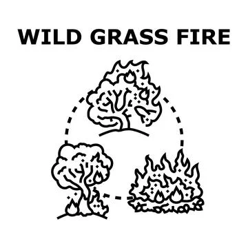 Wild grass and forest fire dangers concept Stock Illustration