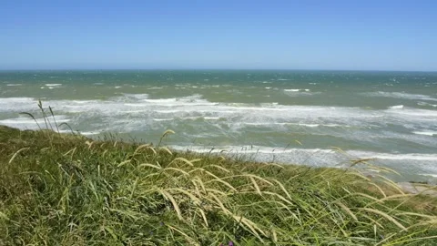 Wild grass blowing in the wind on a cliff overlooking the sea Stock Footage 338329009