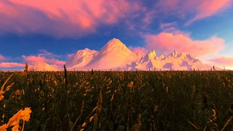 Wild grass field against mountain full of snow Stock Footage 86232073