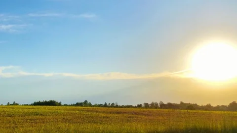 Wild grass field Stock Footage 91240452