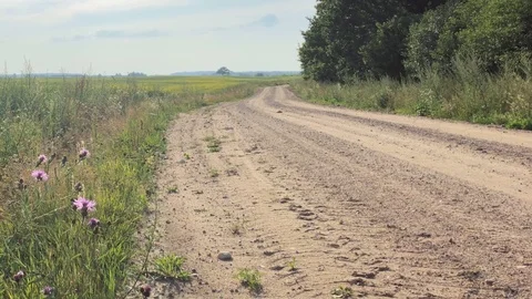 Wild grass field Stock Footage 92852189