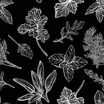 Wild grass pattern. herbs and plants pattern Stock Illustration