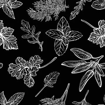 Wild grass pattern. herbs and plants pattern Stock Illustration