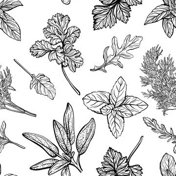 Wild grass pattern. herbs and plants, seasonings Illustrazione stock